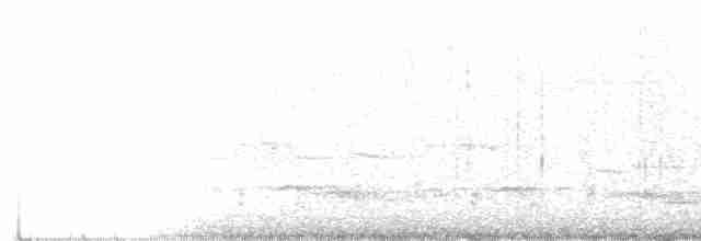 Neuseeland-Fächerschwanz - ML578213521
