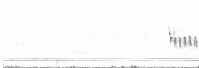 חמריה חלודת-זנב (צפונית) - ML578231911