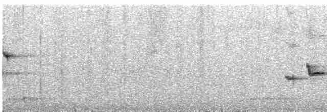 Gümüş Gözlüklü Kanarya Çıvgını - ML578253591