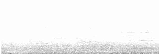 Takkeli Ötleğen (chryseola) - ML578302241