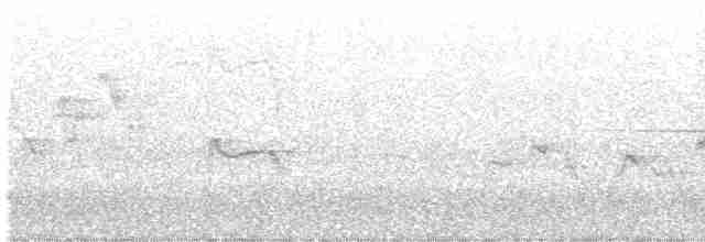 Yellow-bellied Flycatcher - ML578305321