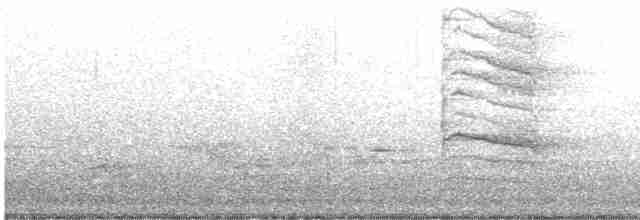 Acadian Flycatcher - ML578333181