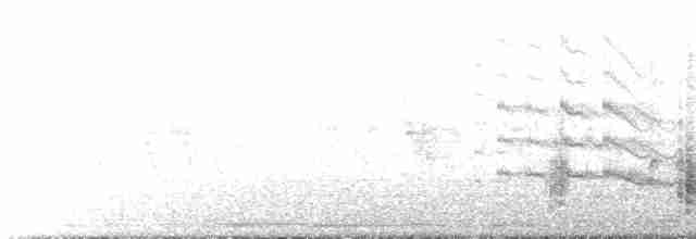 Great Reed Warbler - ML578349731