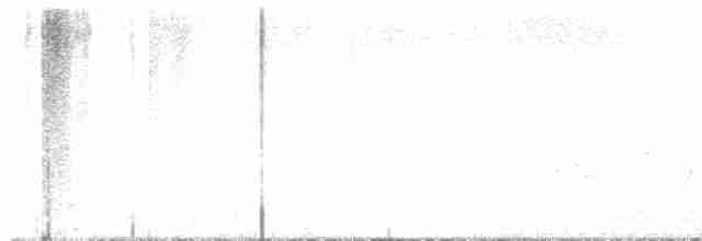 Karolina Çıtkuşu - ML578352471
