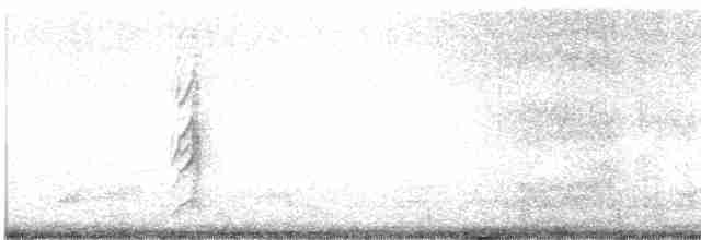 Little Tern - ML578395291
