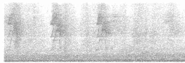 Длинноклювый колибри-отшельник - ML578396331