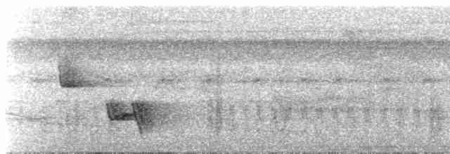 Kestane Tepeli Bekard - ML578410971