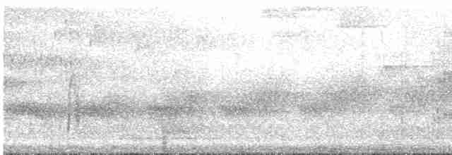 Поплітник сірий - ML578416621