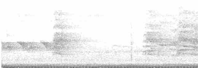 Поплітник сірий - ML578416661