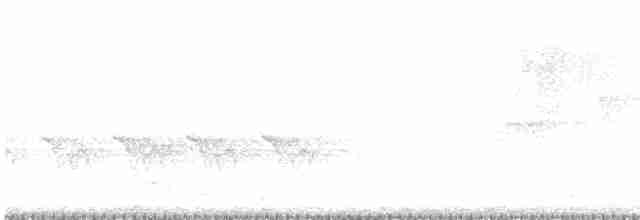 Серый крапивник - ML578416691
