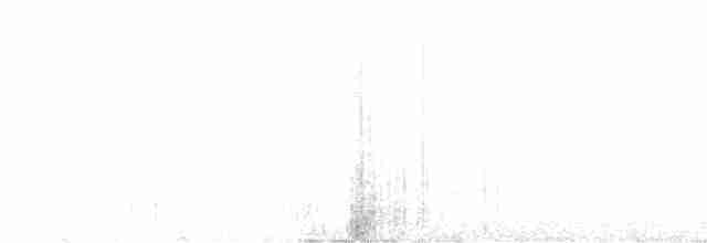 Black-throated Gray Warbler - ML578432681