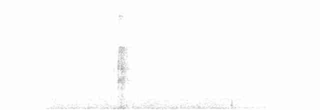 strakapoud velký [skupina major] - ML578439931