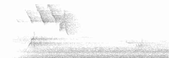 Чернокрылая пиранга - ML57844051