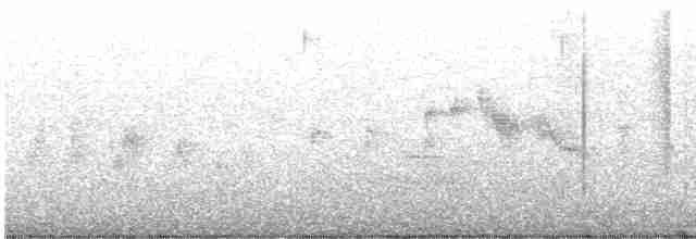 Blyth's Reed Warbler - ML578487551