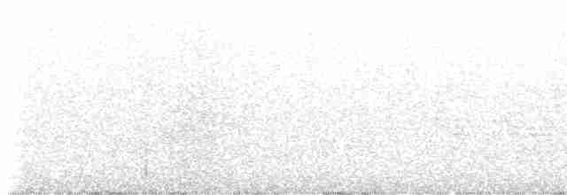 lesňáček modrohřbetý - ML578498521