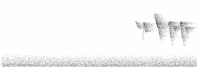 Slate-throated Redstart - ML578686131