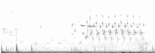 Troglodyte des marais - ML578711971