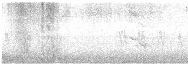 "Шишкар ялиновий (Western Hemlock, або тип 3)" - ML578742801