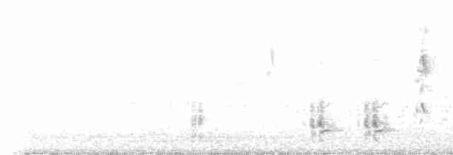 Great Reed Warbler - ML578751711