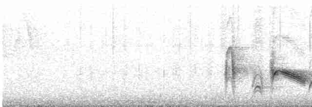 White-eyed Vireo - ML578755871