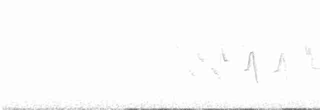 Chaparralgrasmücke - ML578785141