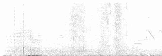 Common Yellowthroat - ML578800931