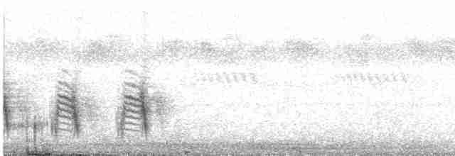 Camaroptère à tête grise (groupe brevicaudata) - ML578817751