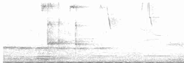 Tordo Gigante - ML578823301