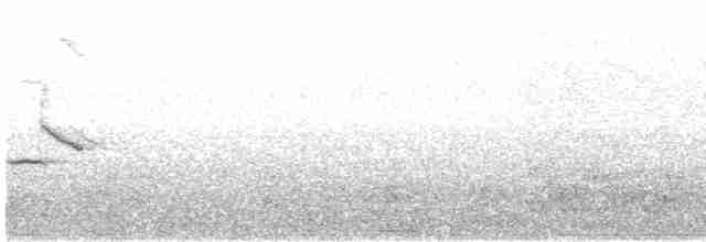Blyth's Reed Warbler - ML578824121