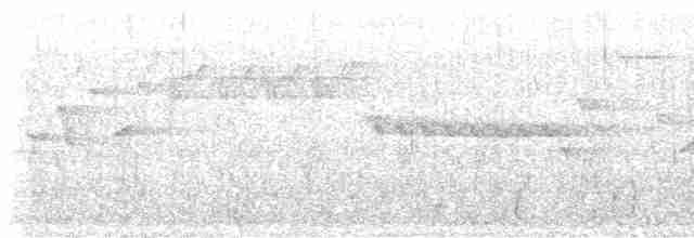 Chochín Hiemal - ML578828121