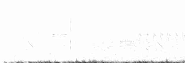 Common Gallinule - ML578846571