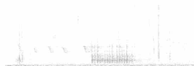 Дзьоган смугастокрилий - ML578856971