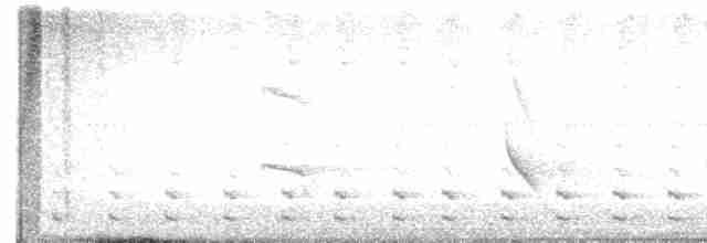 Common Gallinule - ML578878471