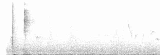 Black-crested Warbler - ML578897611