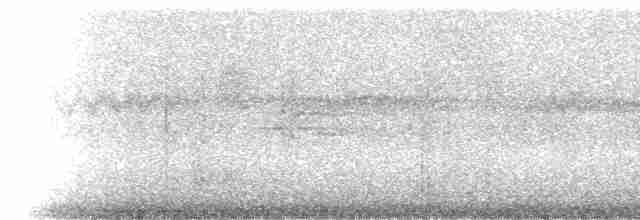 Méliphage de Viti Levu - ML5789