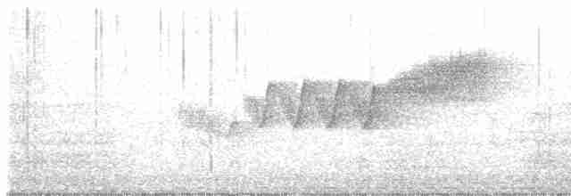 Cerulean Warbler - ML578900471