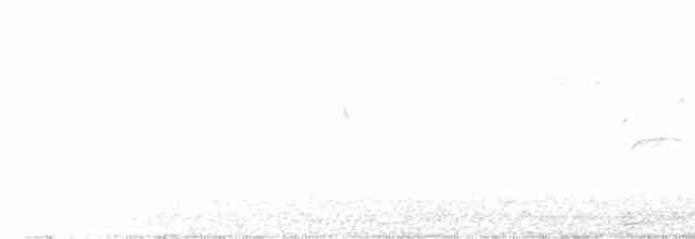 White-eyed Vireo - ML578919511