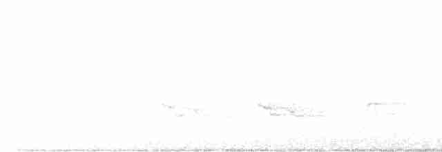 Трясогузковый певун - ML578925931