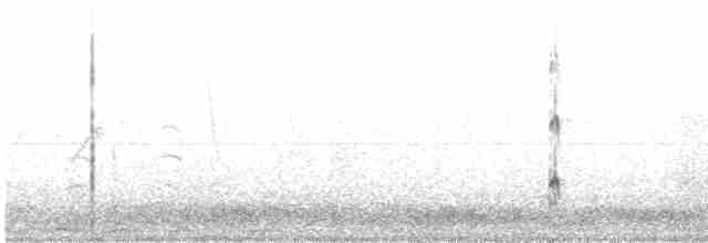 Лиска жовтодзьоба - ML578959931