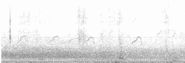 Лиска жовтодзьоба - ML578959941