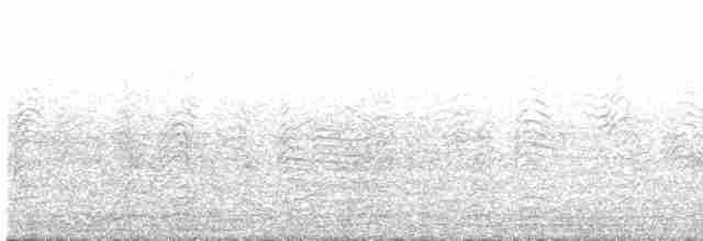 buřňák šedý (ssp. borealis) - ML578960791