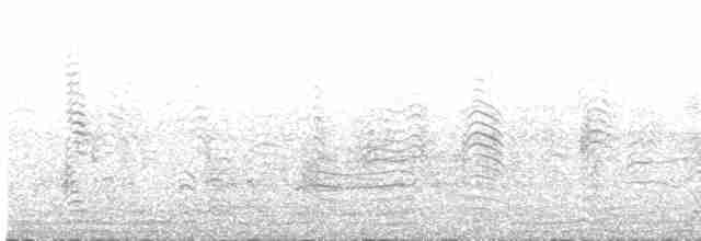 Sepiasturmtaucher (borealis) - ML578963181