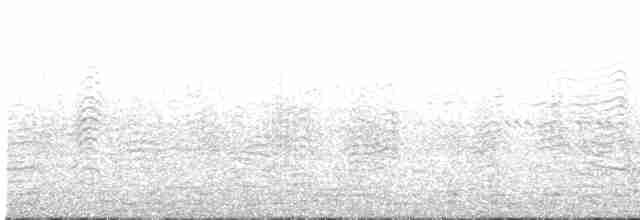 gulnebblire (borealis) (portugiserlire) - ML578965621