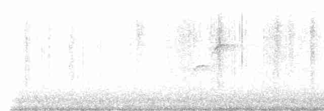 Batı Amerika Sinekkapanı (occidentalis/hellmayri) - ML578999811