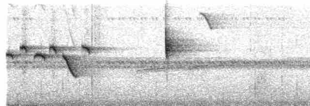 Flavescent Warbler - ML579026821