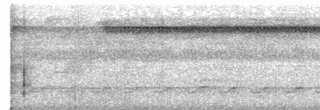 Лінивка плямистогруда - ML579066591