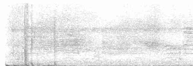 Mangrove Whistler - ML579119011
