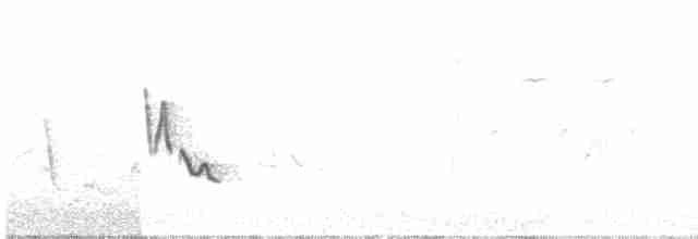 Kızıl Gözlü Vireo - ML579173631