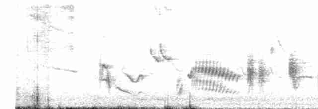 Oriole des vergers - ML579173651