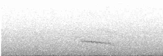 Кокоа плямистий - ML579187681